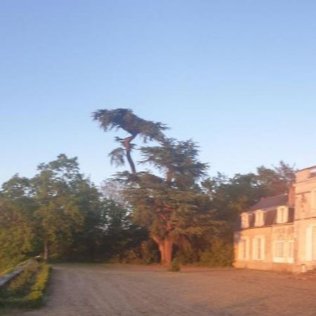 ชาโต เดอ กอลลิเยร์ Bed & Breakfast Muides-sur-Loire ภายนอก รูปภาพ