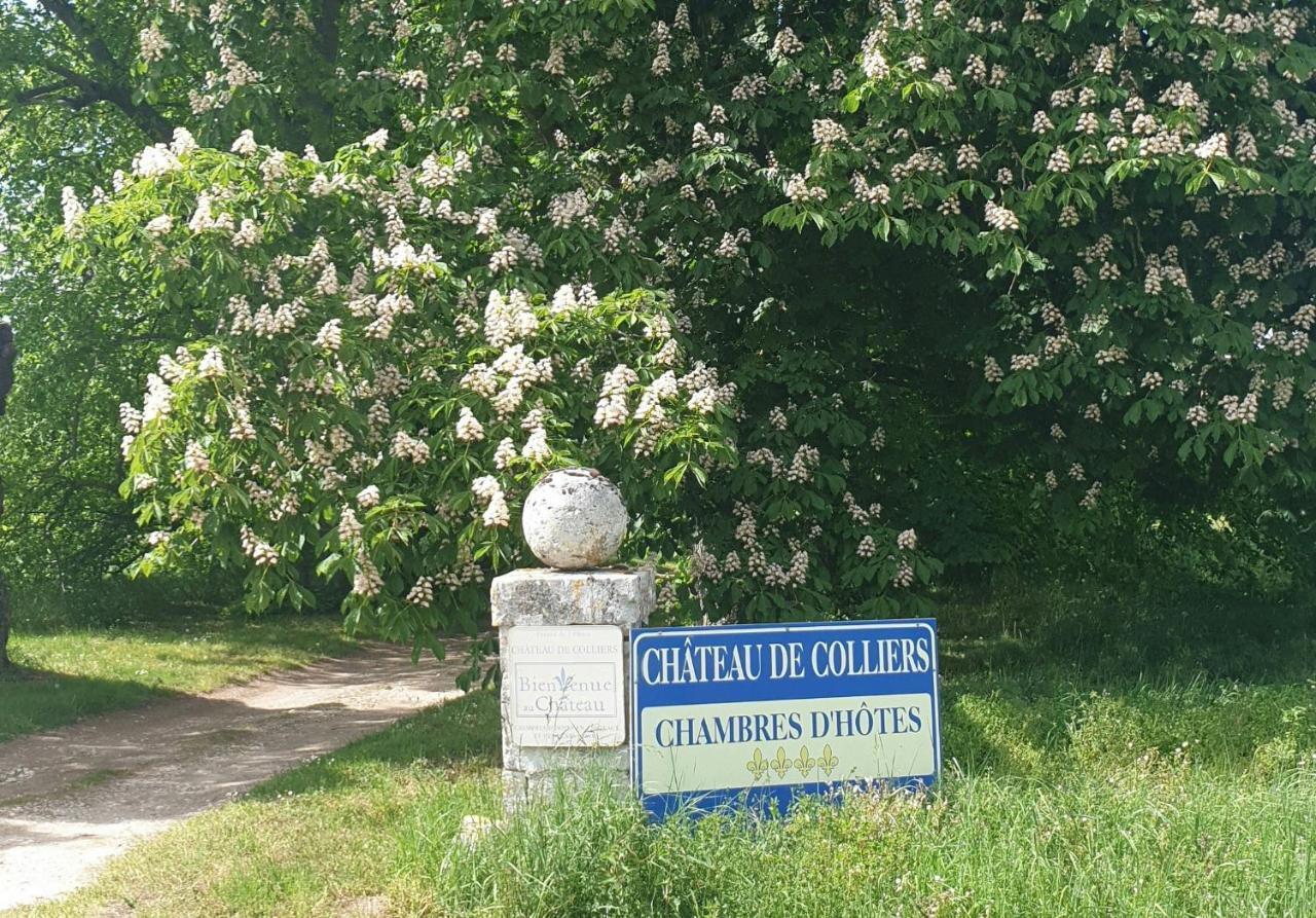 ชาโต เดอ กอลลิเยร์ Bed & Breakfast Muides-sur-Loire ภายนอก รูปภาพ