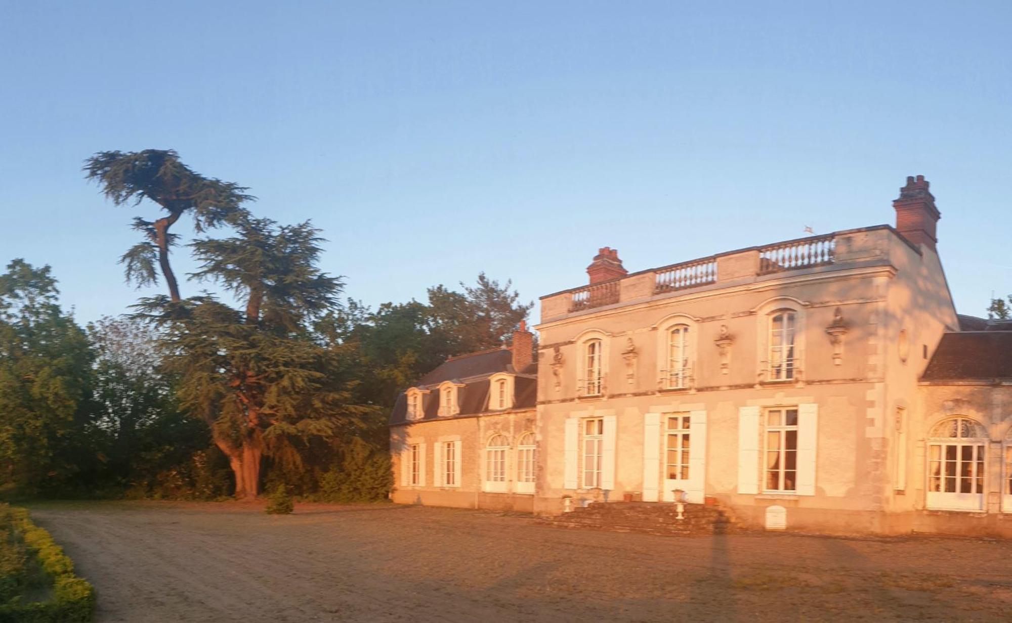 ชาโต เดอ กอลลิเยร์ Bed & Breakfast Muides-sur-Loire ภายนอก รูปภาพ