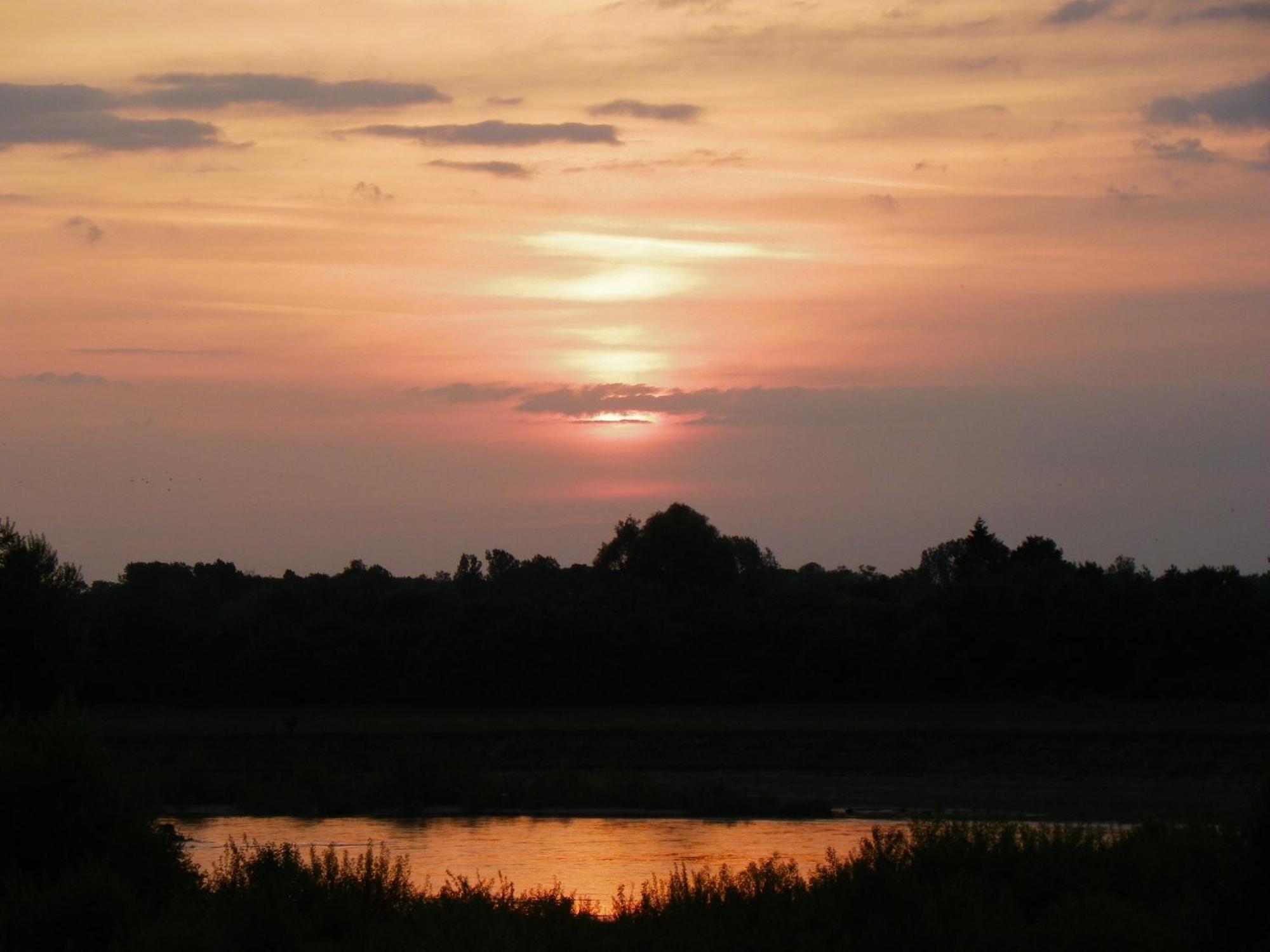ชาโต เดอ กอลลิเยร์ Bed & Breakfast Muides-sur-Loire ภายนอก รูปภาพ