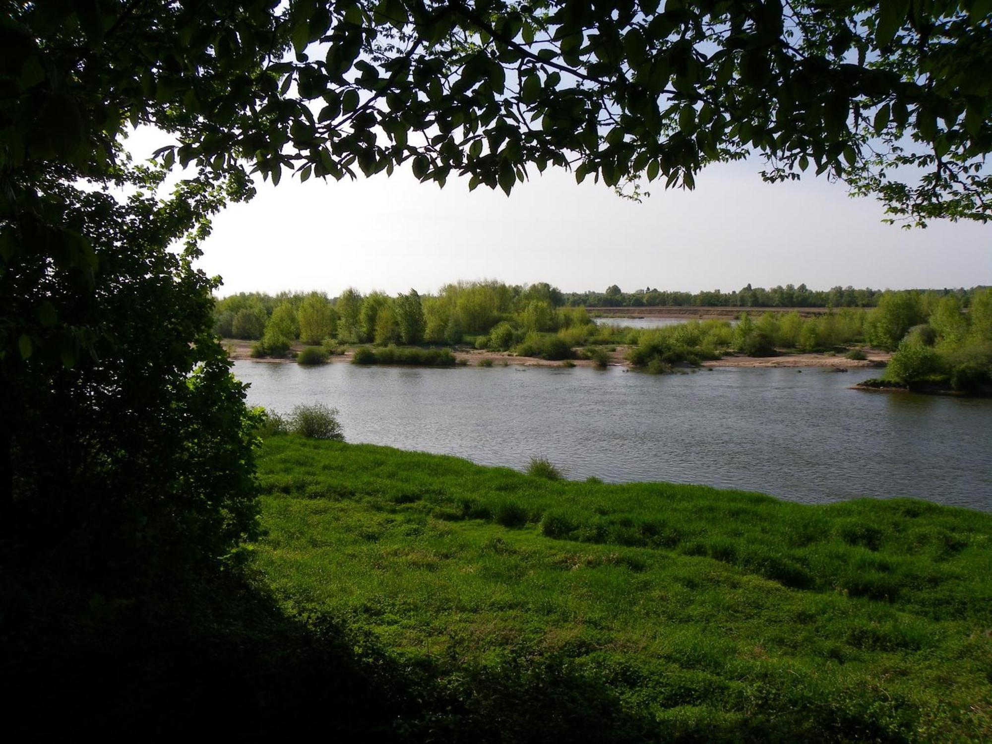 ชาโต เดอ กอลลิเยร์ Bed & Breakfast Muides-sur-Loire ภายนอก รูปภาพ