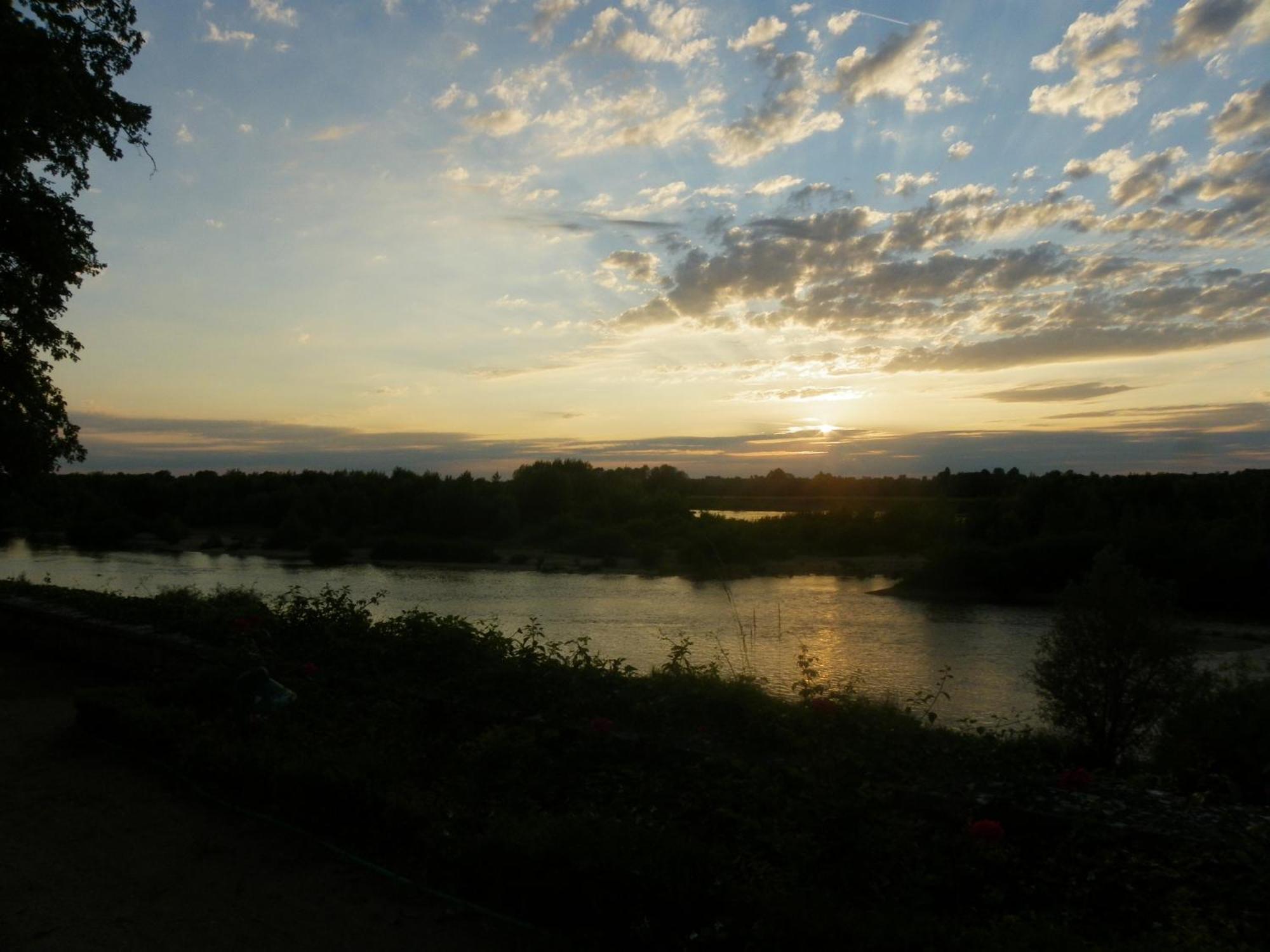 ชาโต เดอ กอลลิเยร์ Bed & Breakfast Muides-sur-Loire ภายนอก รูปภาพ